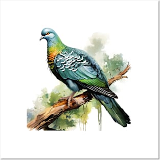 Nicobar Pigeon Posters and Art